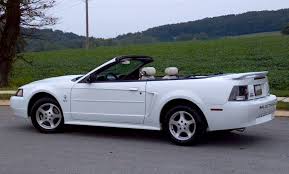 Image result for Oxford White 2003 Escape