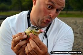 Something Fishy Going On: A quick perch pick me up.