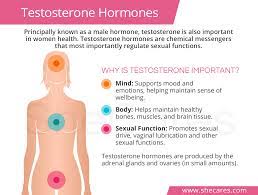 Pin On Understanding Hormones