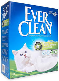 Without any question, cats are one of the most favorite animals. 10 Best Cat Litter In Australia Of 2021 Reviews Top Picks Excitedcats