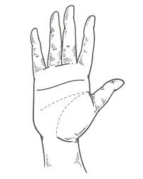 Code of ethics in palmistry and tarot reading. What Your Palm Lines Can Reveal About Your Love Life