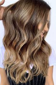 We did not find results for: Bronde Balayage Mane Interest