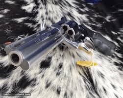 Image result for Bordeaux Maroon 1993 Colt