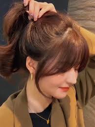 19 idea Long Haired Siamese Mix teratas pada tahun 2025