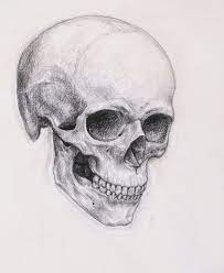 Pin On Drawing