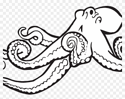 Required fields are marked comment. Alphabet O Is For Octopus Coloring Page Free Printable Realistic Octopus Coloring Page Free Transparent Png Clipart Images Download