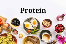 Apa itu protein fungsional : Protein Pengertian Fungsi Sumber Manfaat Unsur Struktur