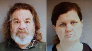 50 marijuana plants uncovered inside home; couple arrested