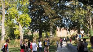 A Laventie Alors Que La Ville Recense Plus De Quatre Cents Habitants De Plus De 70 Ans La Solidarite S Organise