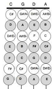 fingering charts for violin viola cello and bass shawn