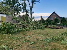 Eerder op de avond trok er vanuit het zui. Astrid Zegwaard On Twitter Ravage Na De Windhoos In Leersum Noodweer Leersum