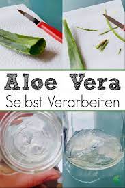 Platziere die blätter anschließend mit der schnittstelle nach unten in einem glas, sodass das gelbe harz herauslaufen kann. Wie Du Frische Aloe Vera Selbst Verarbeitest Und Worauf Du Bei Gekaufter Aloe Achten Musst Vollgenuss Aloe Vera Aloe Pflanze Aloe Vera Pflanze