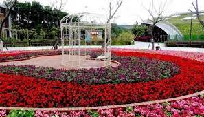 第9 位台北花博公園花博公園是台北市區的另一個野餐好去處 很多地方都是可以席地而坐 而且有大樹遮蔭 環境很舒服 想去一趟市區小旅行 來花博公園就可以了 house styles mansions house
