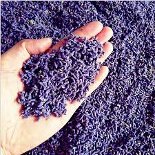 Lavender flowers for sale near me. 500g Bulk Sale Dried Lavender Buds 5a Grade Dried Lavender Flower For Sachet Diy Wedding Party Soap Diy Lavender Dried 100g Big Offer Ab4c2e Goteborgsaventyrscenter