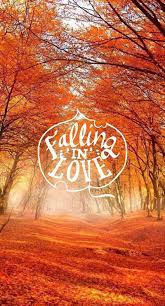 Fall Iphone Quote Halloween Wallpaper Fall Wallpaper Fall Background Fall Pictures
