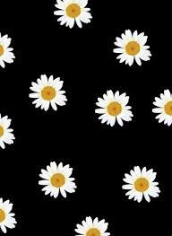 Wild strawberries and most of the strawberry varieties available from nurseries all have white flowers. Add A Caption Image 2263799 On Favim Com