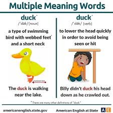 Multiple Meaning Words Duck Multiple Meaning Words Multiple Meaning Words Activities Advanced English Vocabulary