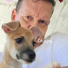 Profile for Osvaldo Ocasio