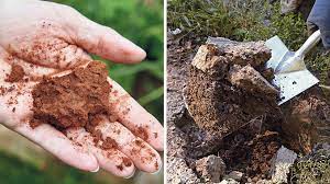 The soil composition in wetlands and areas with sufficient rainfall throughout the year consists of mostly clays and silts or a combination of both. Top Plants For Clay Soils By Region Garden Gate