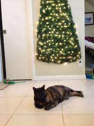 My Cat Proof Christmas Tree Christmastree Catproof Lol Cat Proof Christmas Tree Cat Christmas Tree Cat Proofing