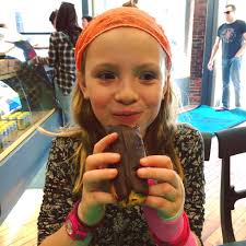 Emily Haynes (@EmilyHfx)