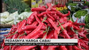 Internet cili padi xl passes. Panik Harga Cili Cecah Rm84 Sekilogram Di Indonesia Mynewshub