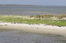 Das wattenmeer vor der deutschen nordseeküste ist durch drei nationalparks geschützt. Nationalpark Und Weltnaturerbe Wattenmeer Nabu Schleswig Holstein