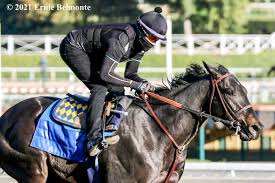 Local businessman adam weitsman and syracuse. Medina Spirit Set For Santa Anita Derby Thoroughbred Racing Dudes