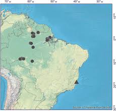 Indonesië d50 tropisch / npr 5493 basralocus 2) dicorynia spp. The Majestic Canopy Emergent Genus Dinizia Leguminosae Caesalpinioideae Including A New Species Endemic To The Brazilian State Of Espirito Santo Springerlink