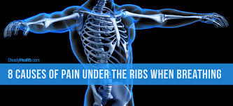 The rib cage consists of 12 horizontal bones, and their primary goal is to protect the heart and lungs. 8 Causes Of Pain Under The Ribs When Breathing Respiratory Tract Disorders And Diseases Articles Body Health Conditions Center Steadyhealth Com