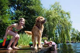 Jun 08, 2011 · here, for all the kids out there who need a little help convincing their parents to add a dog to the family, is my essay. How To Convince Your Parents To Get A Family Dog