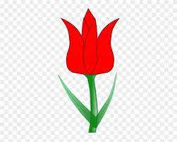 30+ gambar bunga tulip mawar, inspirasi spesial! Tulip Clip Art Tulip Clip Art At Clker Vector Clip Gambar Bunga Tulip Kartun Free Transparent Png Clipart Images Download