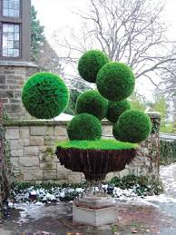 Check spelling or type a new query. Gubah Pokok Renek Jadi Pelbagai Bentuk Harian Metro