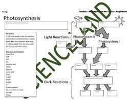 Biology Activity Cell Energy Review Photosynthesis Cellular Respiration Biology Activity Photosynthesis And Cellular Respiration Cellular Respiration