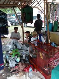 Masih menjadi kenangan dgn om Prodjo Sarlan Nayla Susan bang siapa ya lupa?  😅🙏 Satrio Adi Susanto bang Anwar..dan lain lain...sehat selalu. Nanti  kita kumpul lagi digantangan ya🙏