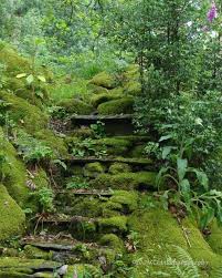 Fairie Treppe Am Unteren Rand Wordsworths Garten In Rydal Mount Ruht Eine Treppe Die Lange In Vergessenheit Ger Beautiful Gardens English Garden Dream Garden