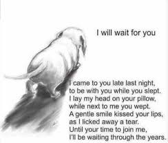 'rainbow bridge' free printable poem {pet loss} 'rainbow bridge' is a lovely prose poem written for anyone who's suffered the loss of a beloved pet. Pin On Pets Cats Care Tips
