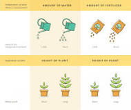 Image result for In our experiment, what are the dependent variables? Select all that apply. Question 3 options: 1. The number of unicellular yeasts ingested