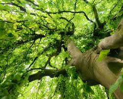 Burgerverein bredenscheid stuter e v home facebook. Gewinnspiel 25 Jahre Kd Bank Stiftung