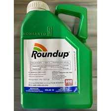 Karena tekstur batang yang lunak dan daun tidak berbulu. Roundup 4 Liter Glyphosate 41 Rumput Shopee Malaysia