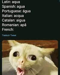 How Do U Pronounce Eau In French Oooo Funny Memes Funny Gif French Meme