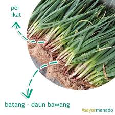 Stir fry the chicken, green onion, ginger and garlic. Jual Daun Bawang Batang Bawang Per Ikat Kota Manado Sayor Manado Tokopedia