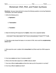 To make a protein chain (out of amino acids). Protein Synthesis Fill In The Blank Worksheet Fill Online Printable Fillable Blank Pdffiller