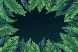 Tropical Leaves Background For Zoom Free Vector Freepik Freevector Leaf Background Tropical Leaves Background