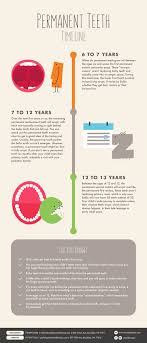 your childs teeth journey timeline