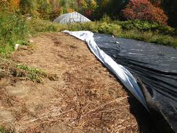 Now i have my dream garden thanks to cardboard and mulch! Worm Till How To Use Cardboard And Occultation Instead Of Tillage