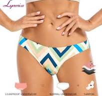 Seamless Period Underwear Wholesale | Invisible Leakproof ...