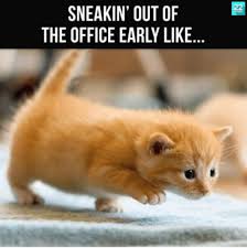 Please read this it memes a lot to me (all memes and jokes belong to me) (i will give credit to other people if i use their meme). 30 Funny Work Memes For Any Office Situation Best Life