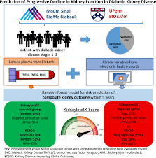 End stage renal disease (esrd). Derivation And Validation Of A Machine Learning Risk Score Using Biomarker And Electronic Patient Data To Predict Progression Of Diabetic Kidney Disease Springerlink