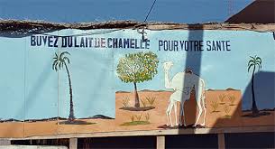 Have all these books been read?3. Camel Milk Inhibits Growth Of Colon Cancer And Other Health Potentials Dromacity Passion Dromadaire Et Desert